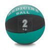 Medicinebal - medicijnbal 2 kg
