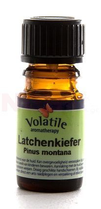 Volatile Latchenkiefer - Pinus Montana/Strong 10 ml